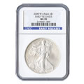 Raw and Certified Burnished Silver Eagles