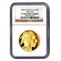 Certified Proof Gold Buffalo Coins