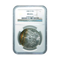 Certified Toned Morgan Silver Dollars