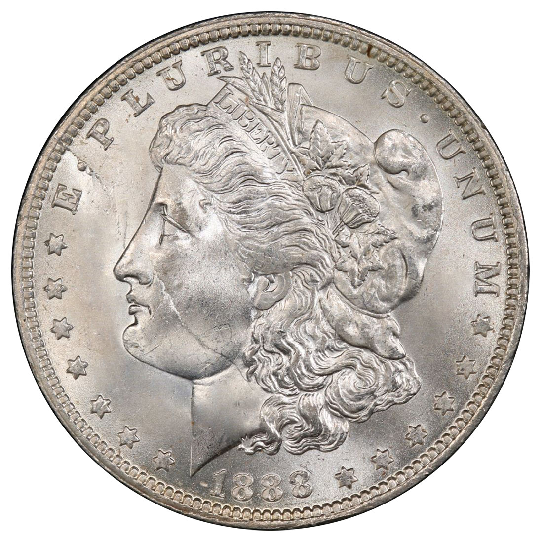 Morgan Dollar Varieties (VAMS)