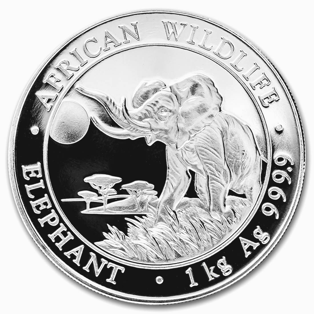 2016 Somalia 1 Kilo Silver Elephant Coin