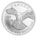 2014 1 Oz silver Birds of Pray series Peregrin Falcon Canada  Front